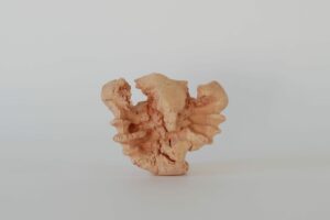 Plastik aus Ton Titel Zerreissprobe Copyright Ina Mertens 2022