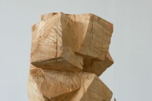 Skulptur aus Birke Titel Kubistische Studie No6 ein Werk von Ina Mertens 2024