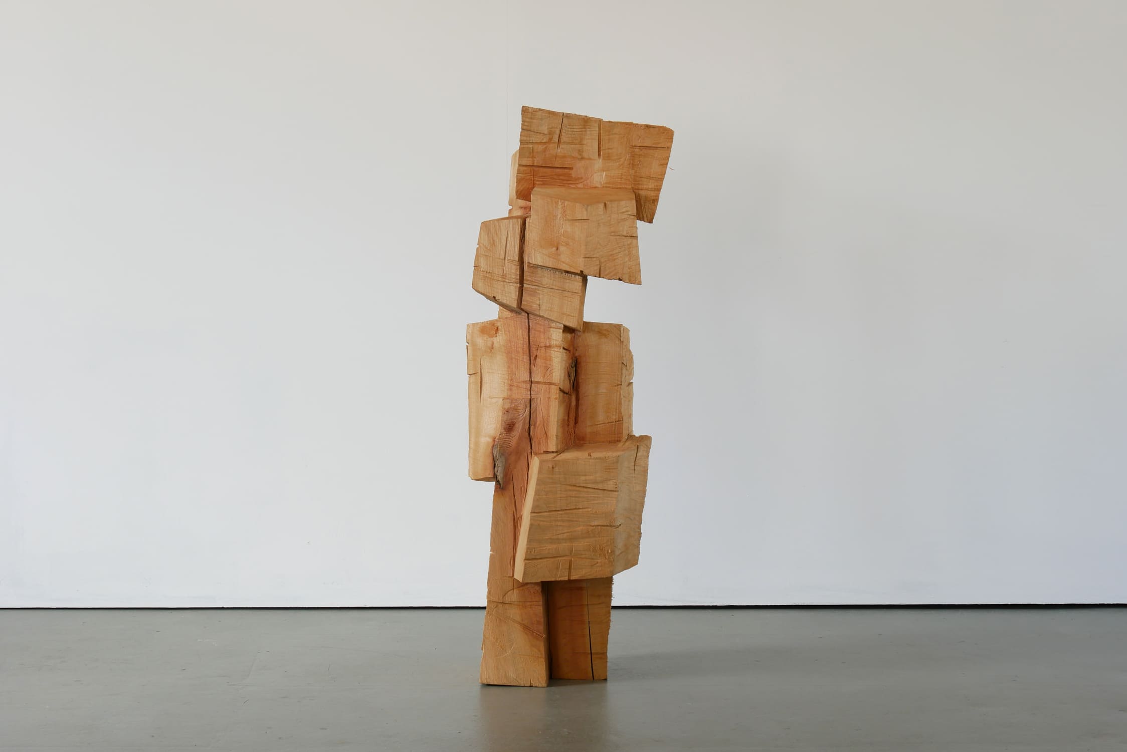 Skulptur aus Kaukasischer Fluegelnuss Titel Nexus ein Werk von Ina Mertens 2024