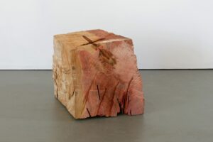 Skulptur aus Mammutbaum Titel Wunde ein Werk von Ina Mertens 2024